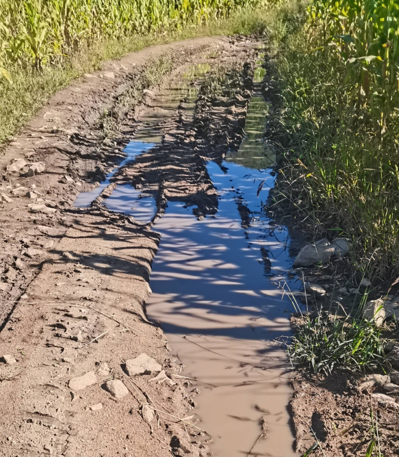 維修之前的(de)路(lù)面。受訪者供圖